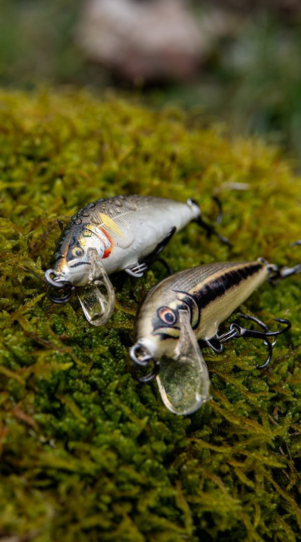 Découvrez le meilleur magasin de pêche à Marseille !